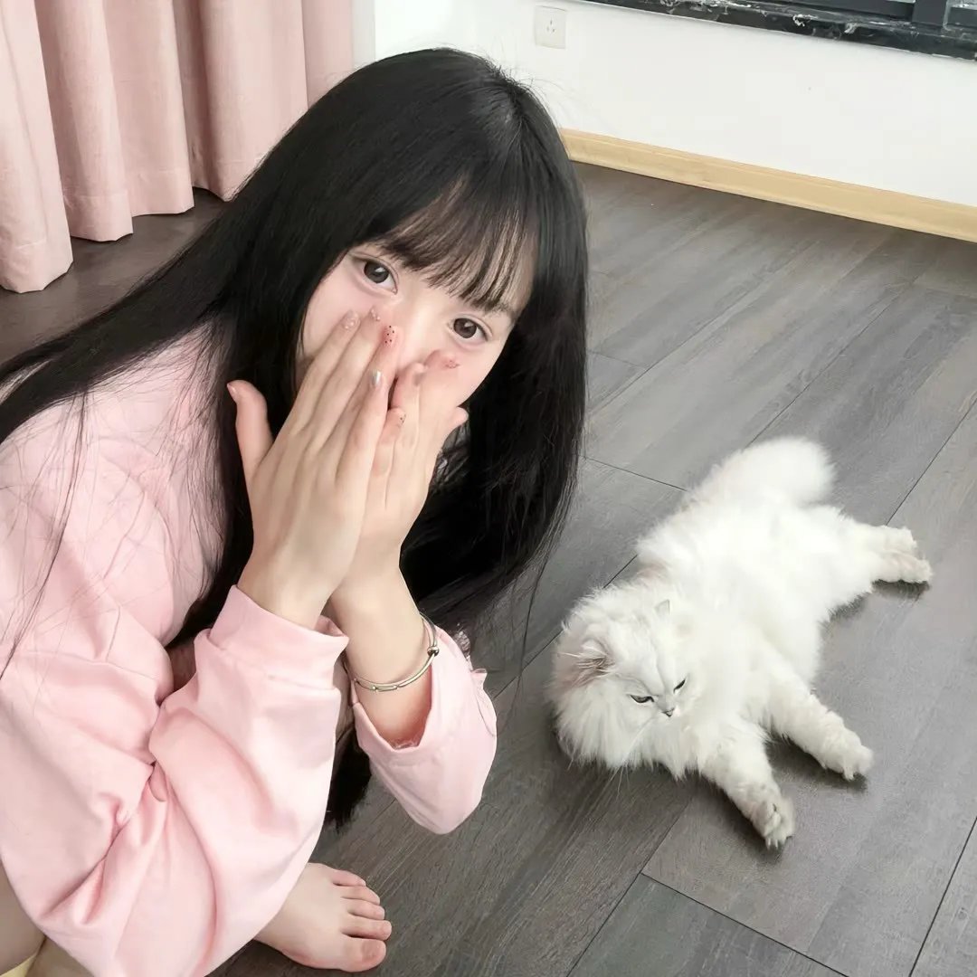 39号特案